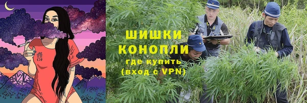 mix Белокуриха