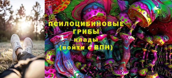 mix Белокуриха