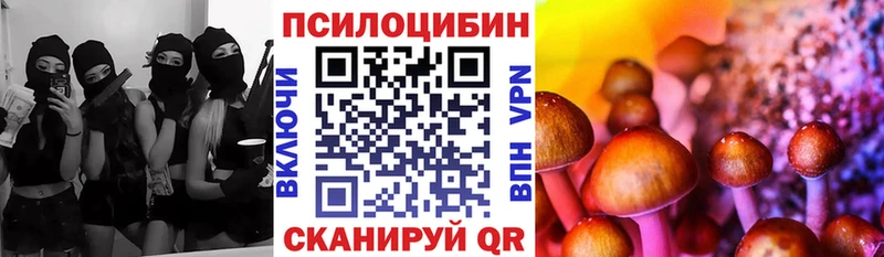 kraken ONION наркотики Зеленогорск Галлюциногенные грибы мицелий